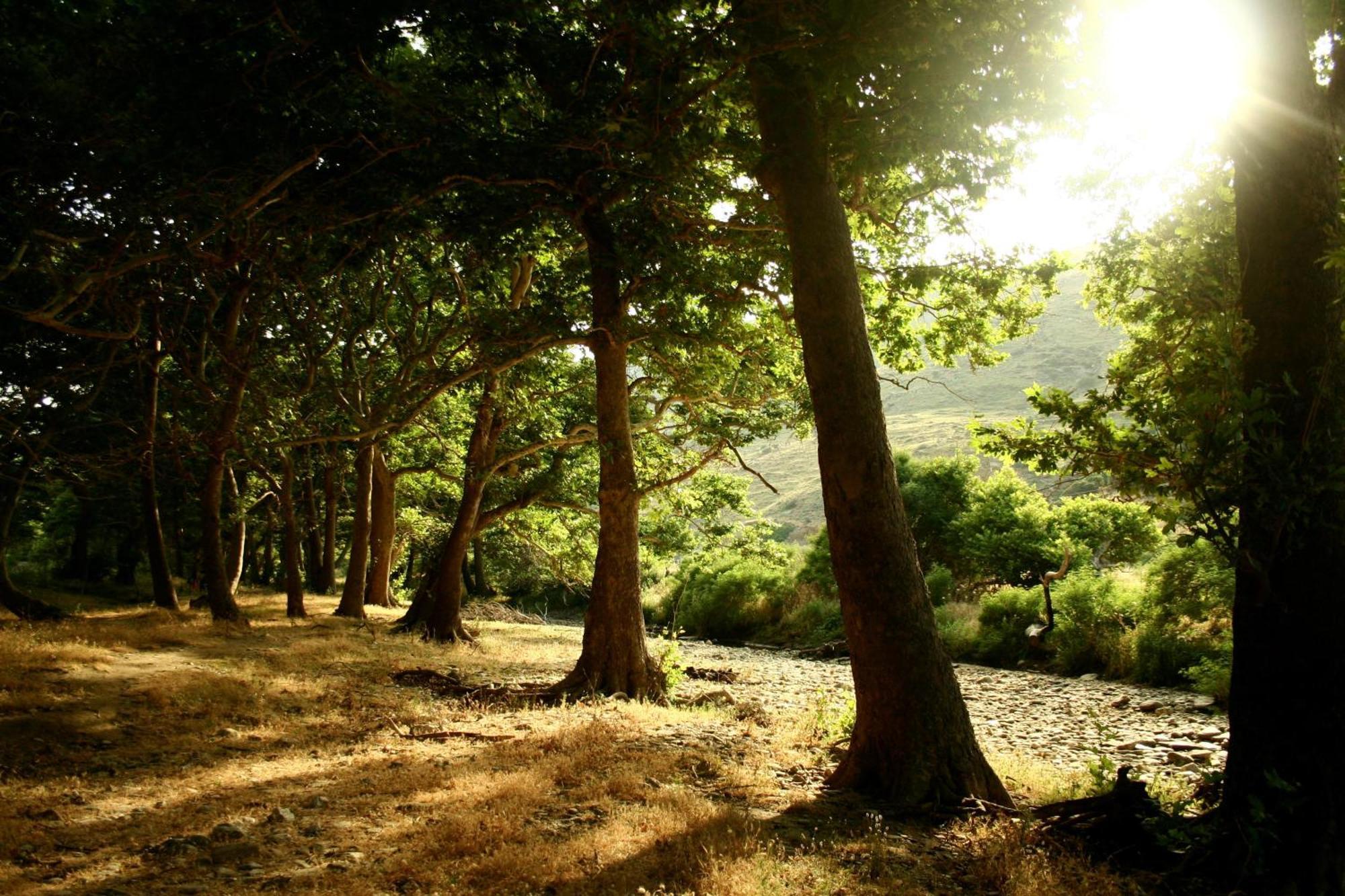 Onar Andros ξενώνας Άχλα Εξωτερικό φωτογραφία