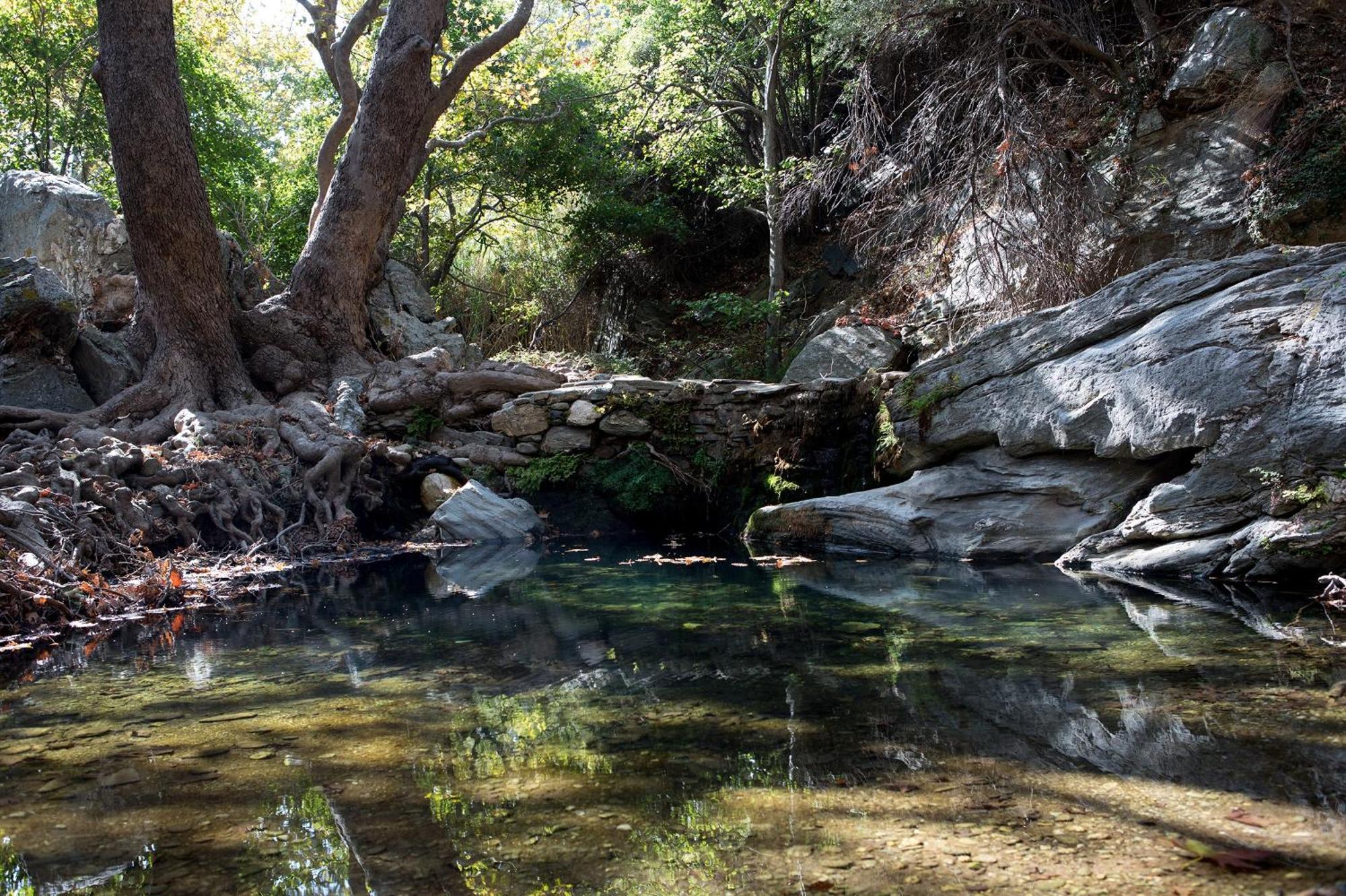 Onar Andros ξενώνας Άχλα Εξωτερικό φωτογραφία