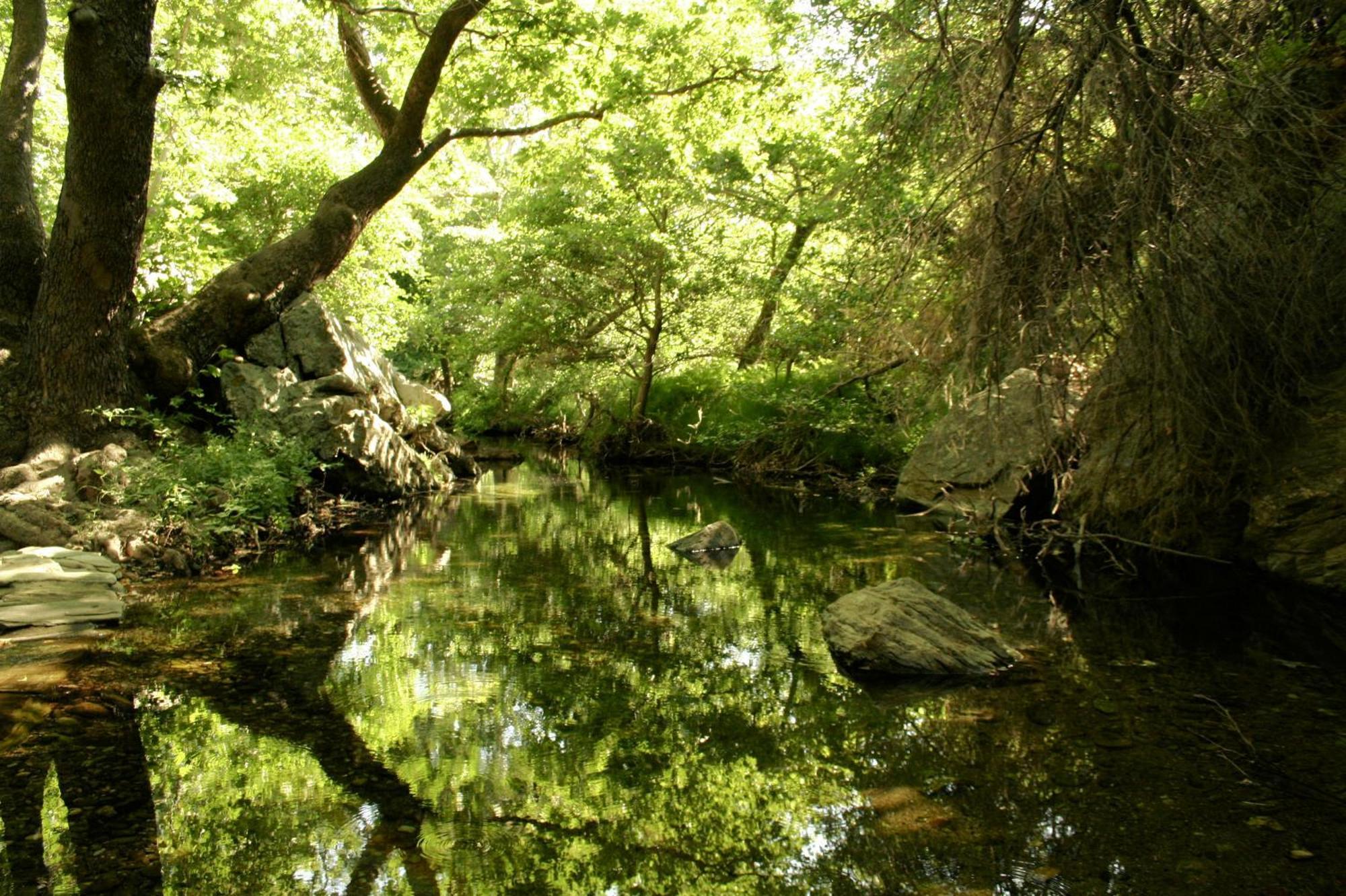 Onar Andros ξενώνας Άχλα Εξωτερικό φωτογραφία