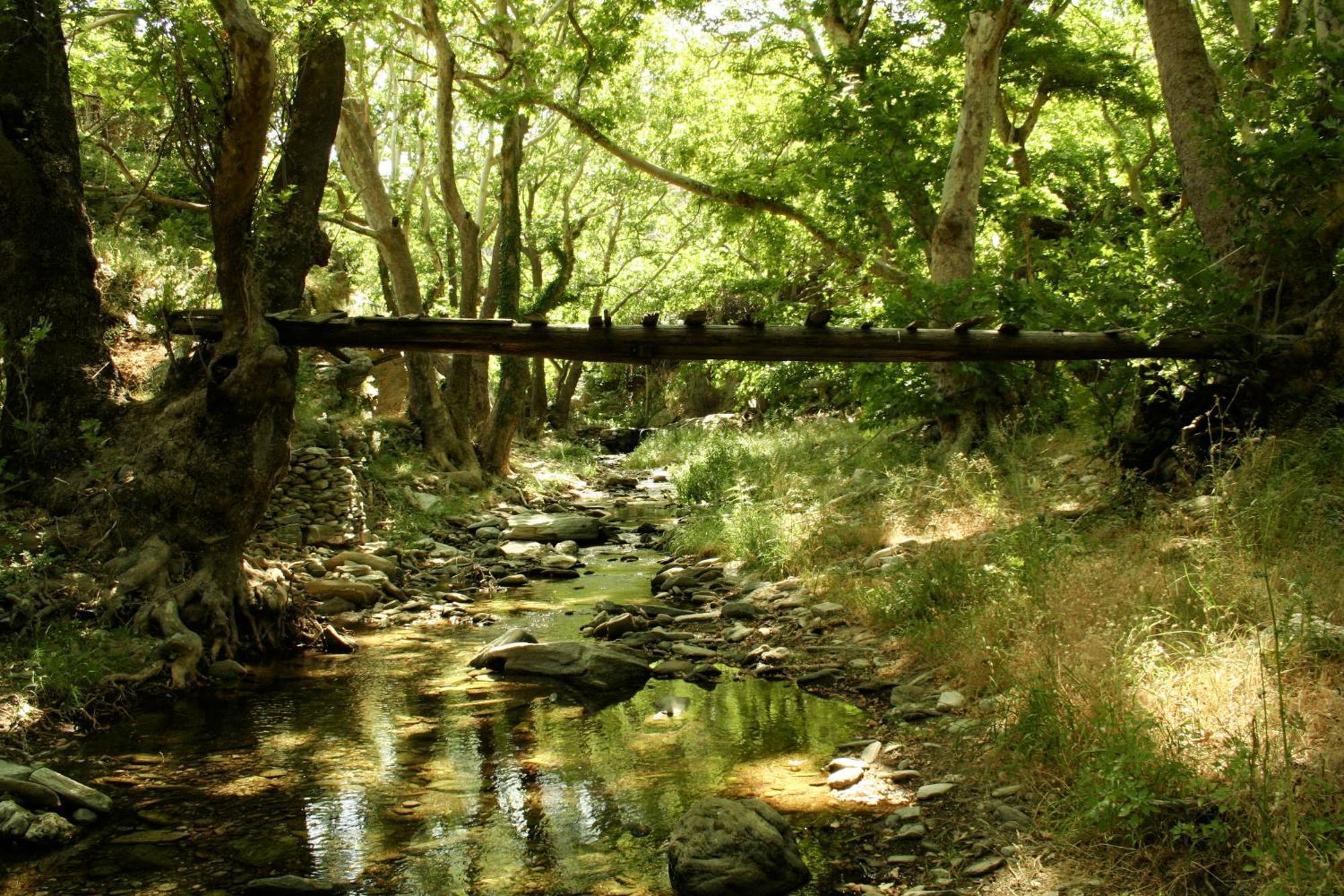 Onar Andros ξενώνας Άχλα Εξωτερικό φωτογραφία